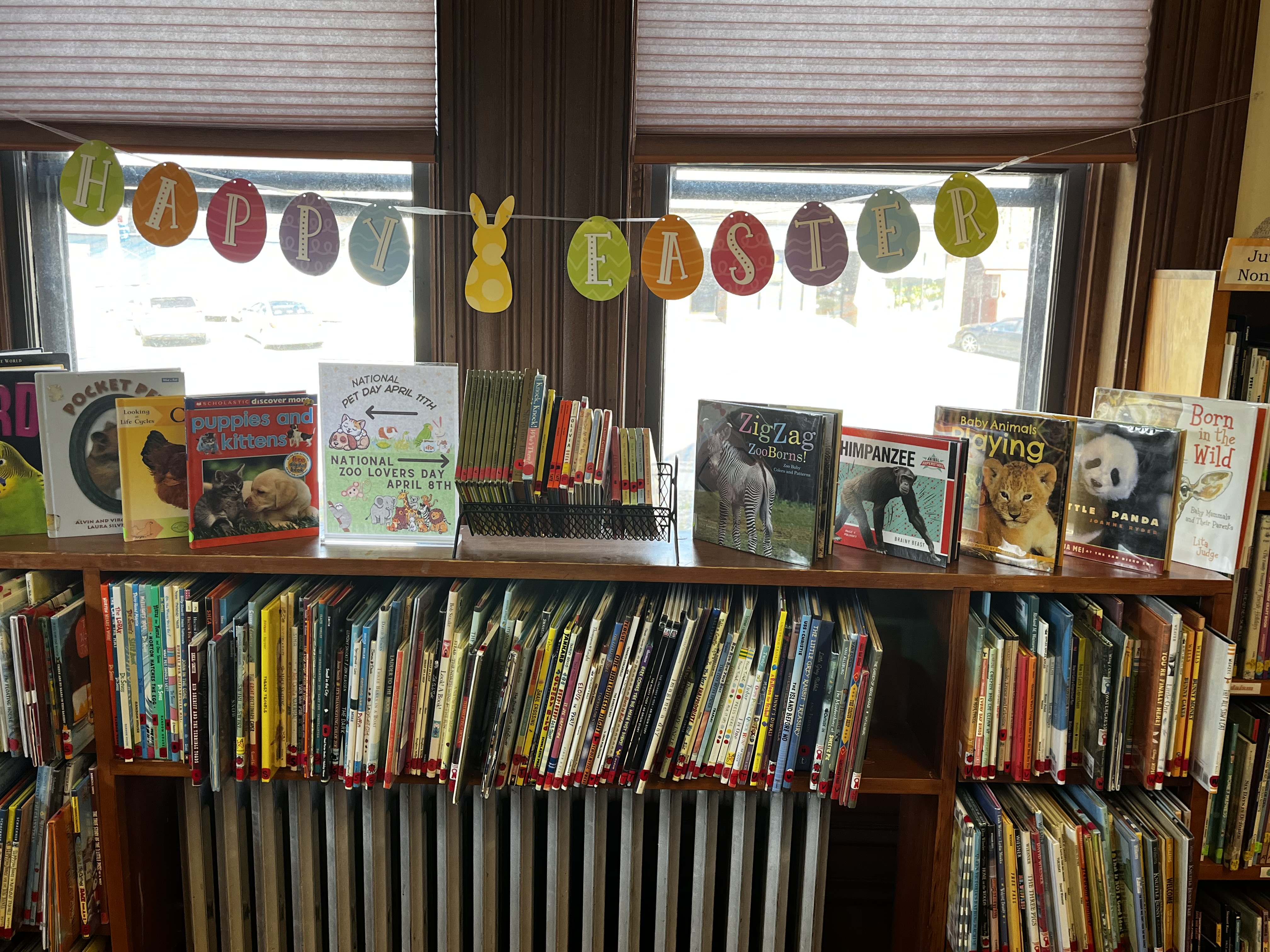 CHildrens display animals